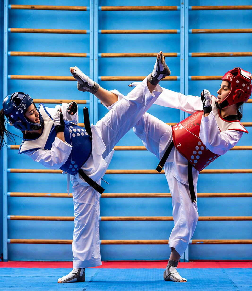 Taekwondo